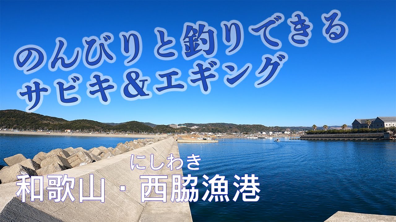 【釣り場動画#46】和歌山の西脇漁港は広々した開放的でのんびりした釣り場（エギング・サビキ・キス釣り）