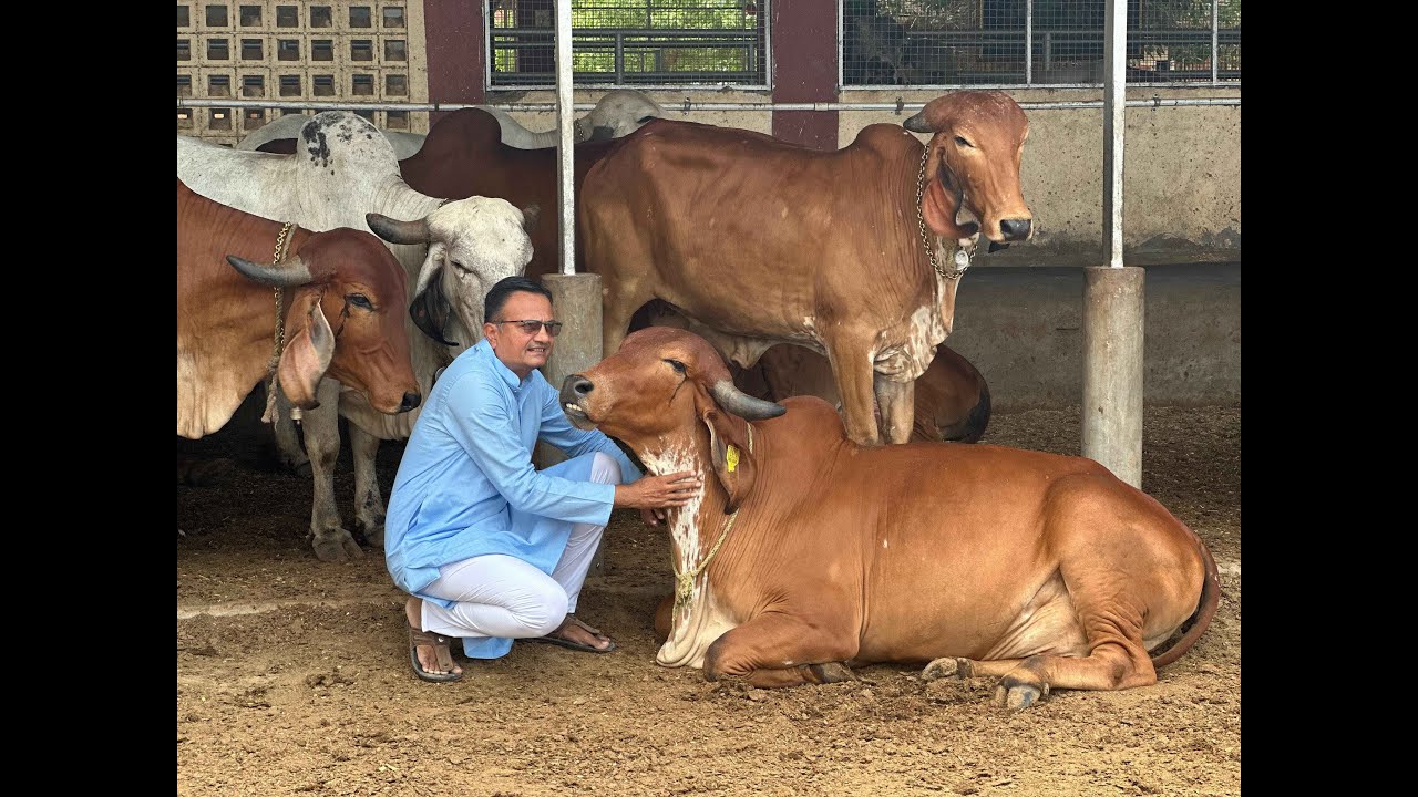 “ગૌસેવા એક સાધના – વિજયભાઈ ઈશ્વરભાઈ પટેલની જીવનયાત્રા”