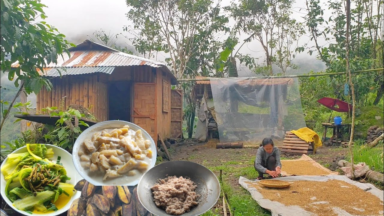 Struggling to sun dry our rice | Simple foods to fill our stomach during rainy season