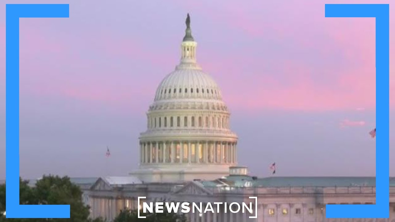 Government shutdown confirmed after funding bill fails to pass | Elizabeth Vargas Reports