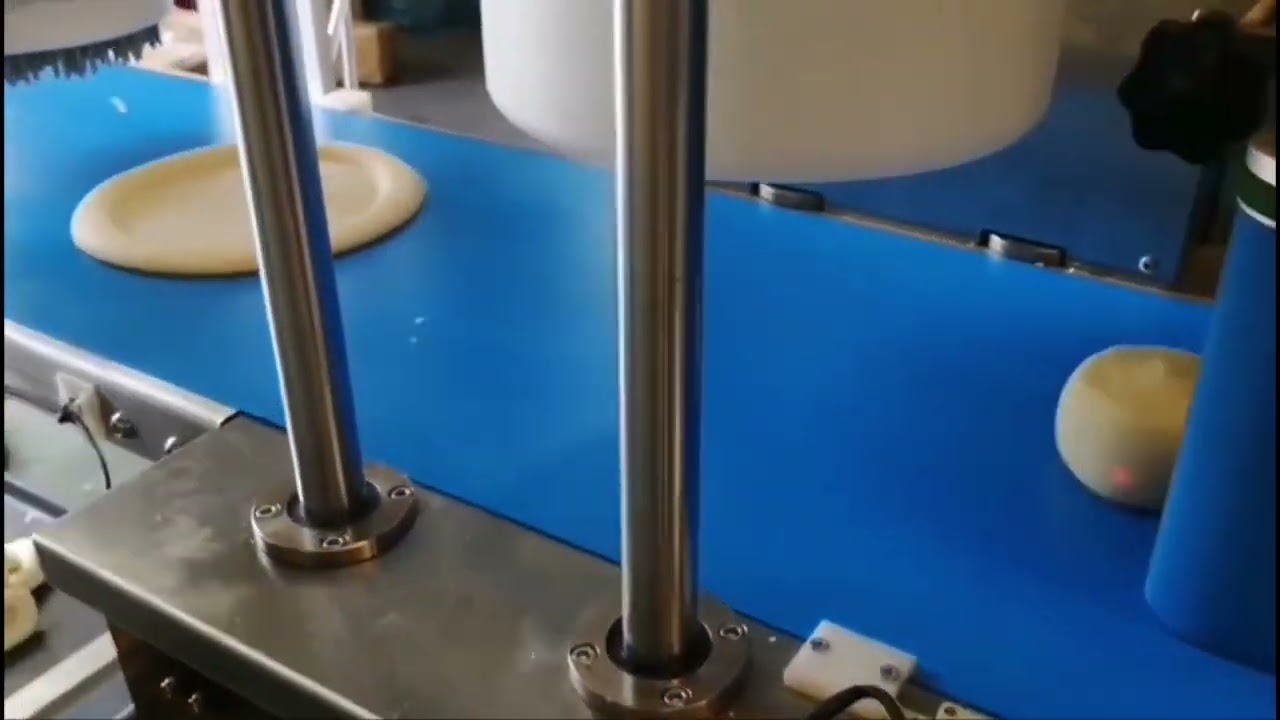 SV-209 Production line making pizza