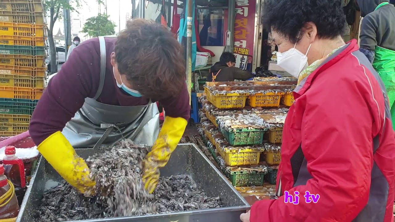 멸치젓갈 담는 날