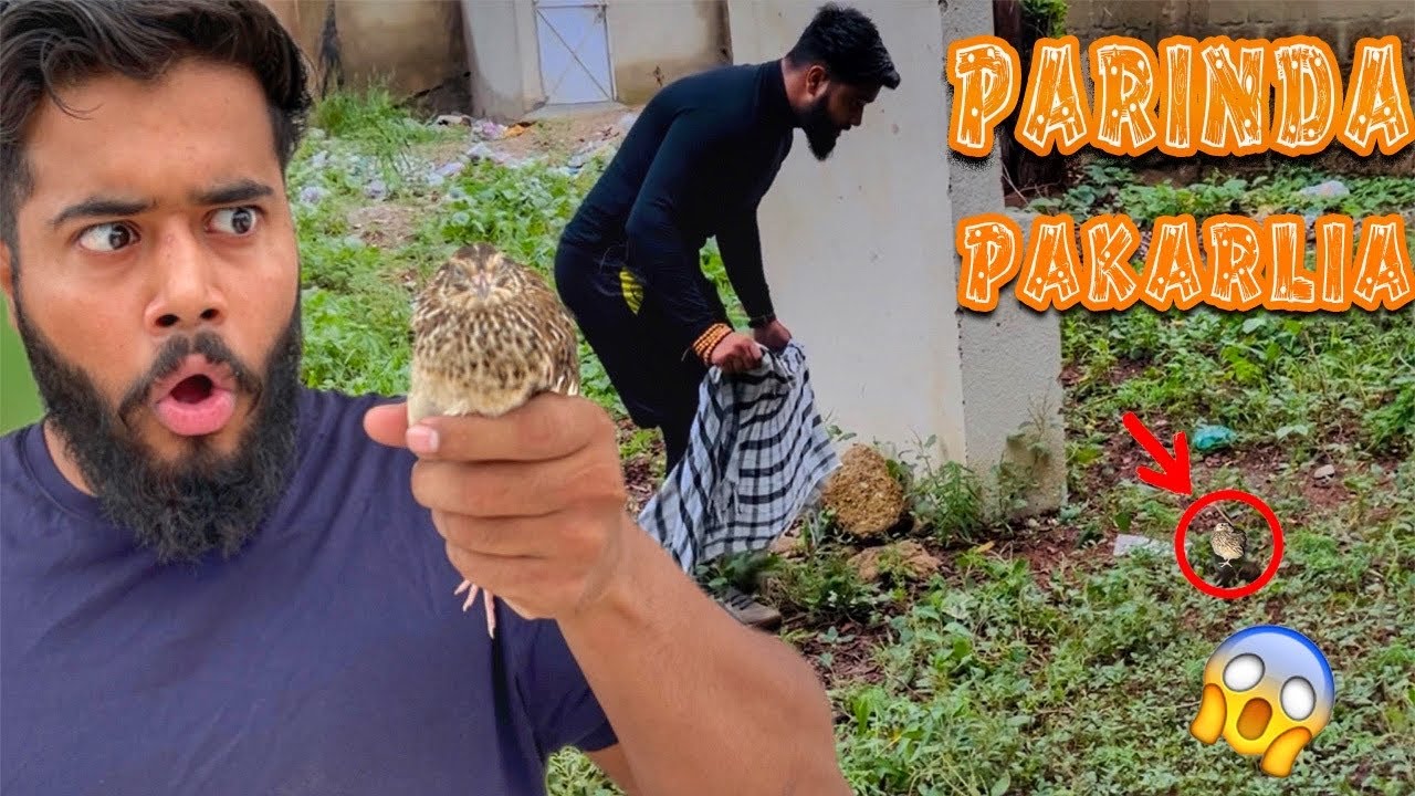 parinda pakarlia 😱 | syed fahad | the fun fin |
