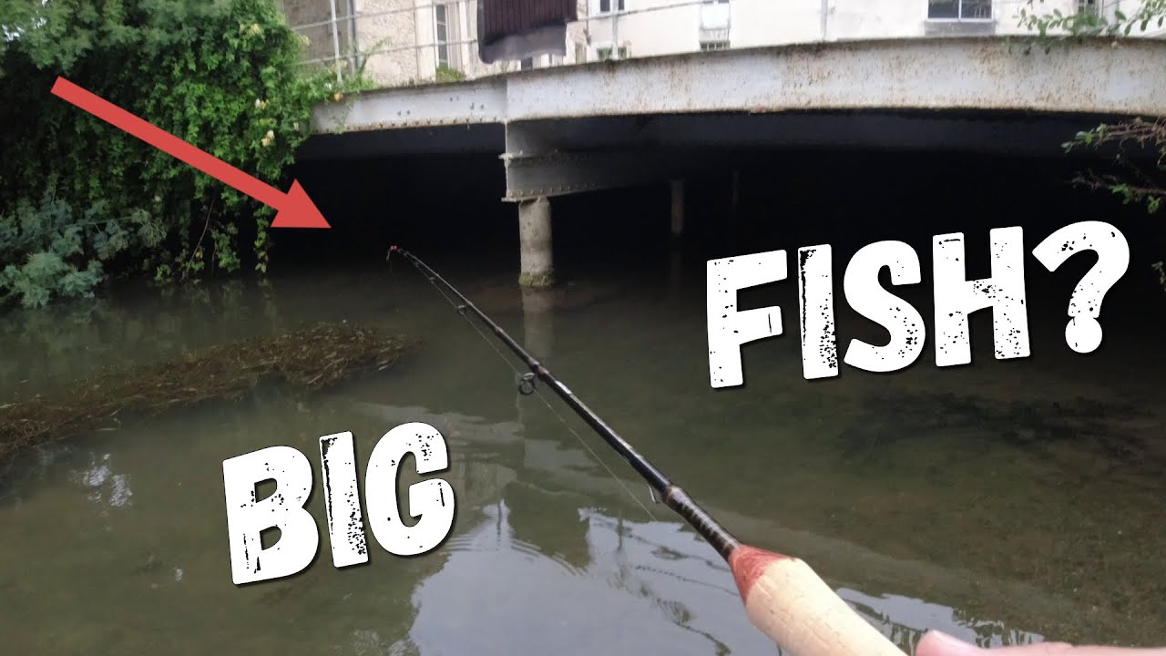 Je TEST ma canne PEZON & MICHEL osmose COREGONE en STREET fishing