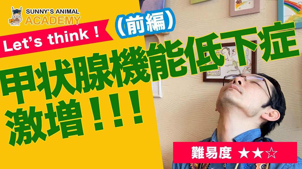 甲状腺機能低下症激増！！！前編/サニーズアニマルクリニック