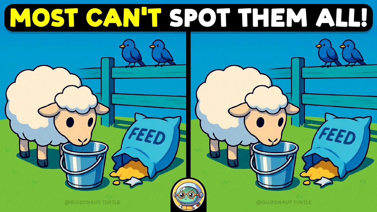🐢🧩 Spot 3 Differences | Test Your Sharp Eyes 🧩🐢 | Quizonaut Turtle