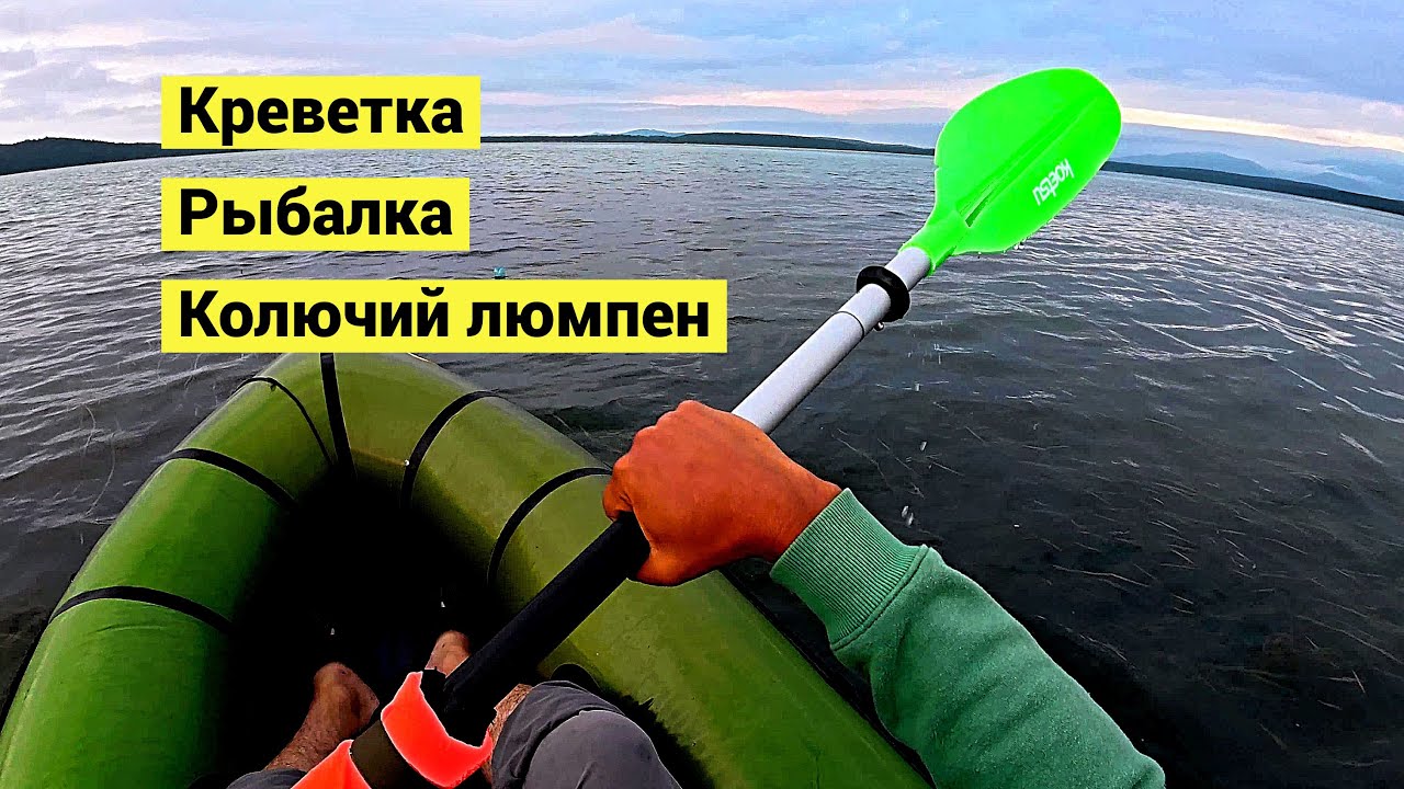 Ночью креветки а днём рыбалка! Впервые попробовал колючего люмпена!