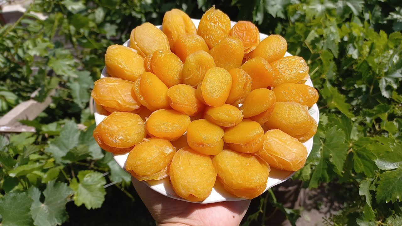 Ոսկեփայլ, ՀԱՅԿԱԿԱՆ ԾԻՐԱՆԻ ՉԻՐ / Красивый и вкусный Сухофрукт из АБРИКОСА / Dried apricots