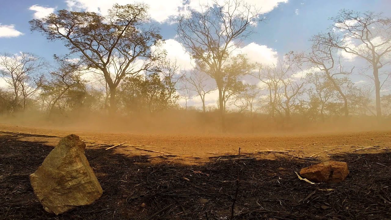 Self Drive Safari in Bushlore Land Cruiser 4x4