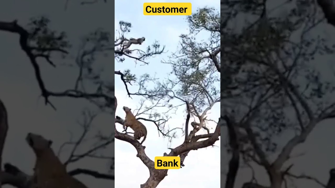 Bank convence Customer #bank #bankmitra