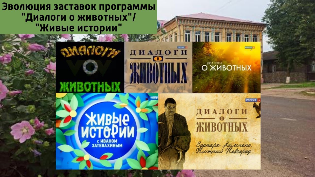 Эволюция заставок программы 