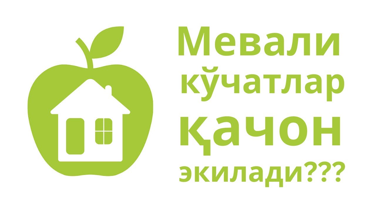 Мевали кўчатлар қачон экилади?