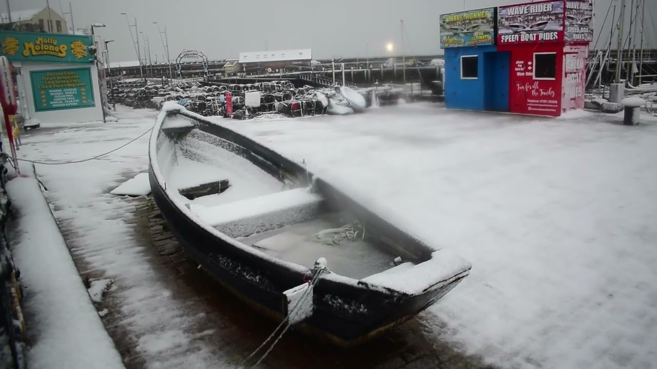 Snow storm in Scarborough