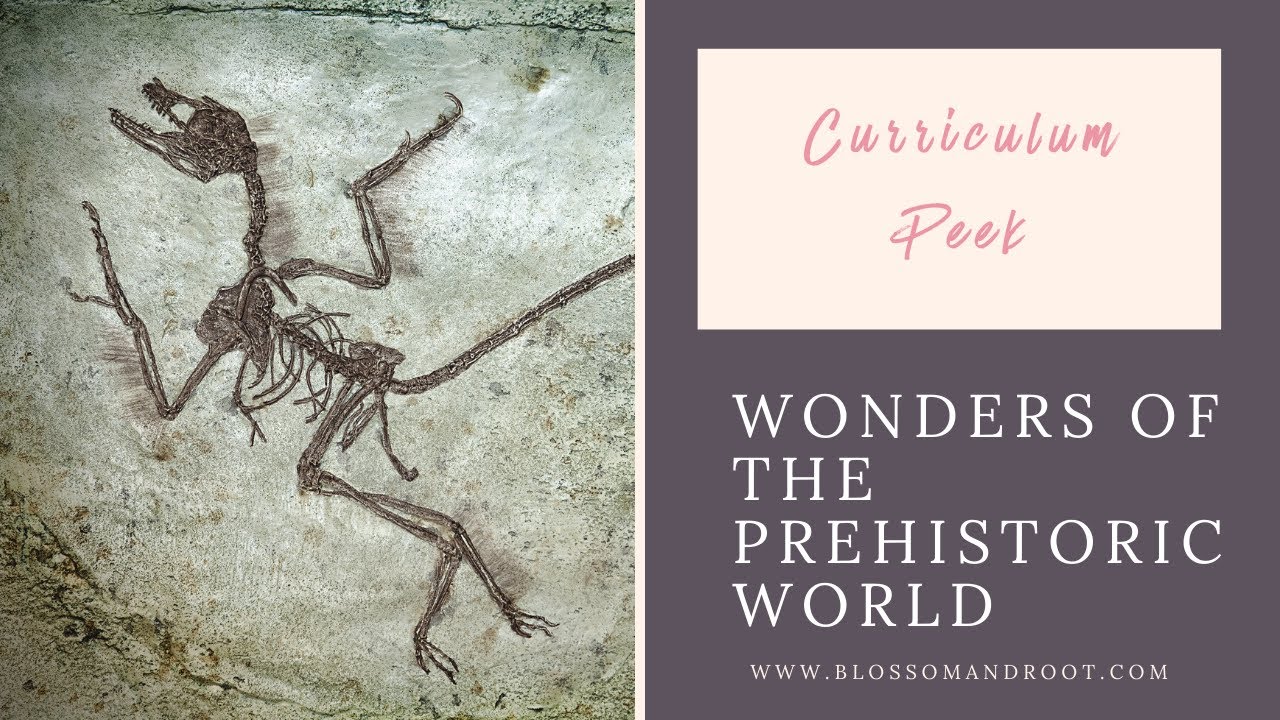 A Peek Into Wonders of the Prehistoric World by Blossom and Root