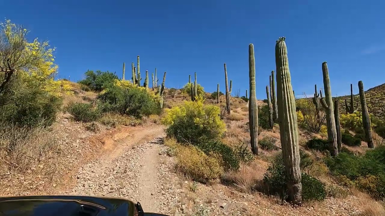 Pucker Ridge Superior, AZ