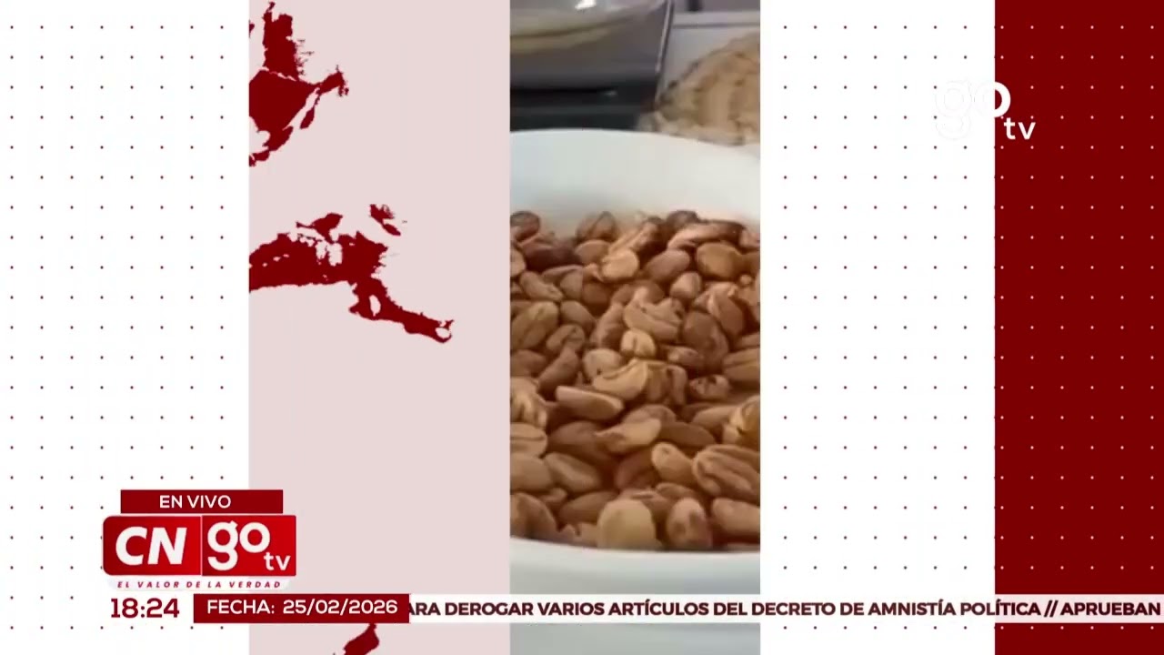Gobierno y productores fortalecen alianzas para impulsar la producción de café