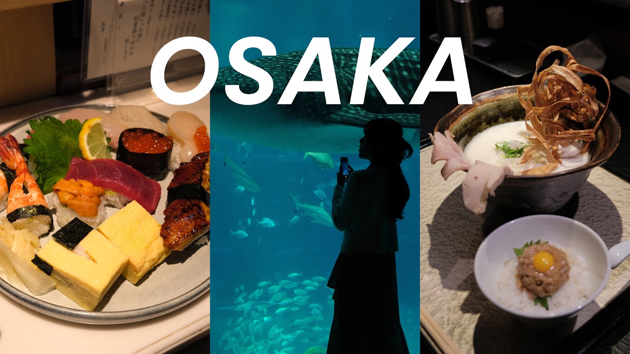 [Life in Japan] Osaka Part 3 | 오사카 인생 라멘 | 역.대.급 마블링 와규 | 장인 스시 맛집 | 아쿠아리움 | 한달에 두번여는 카레맛집🍛 (구글맵 공유)