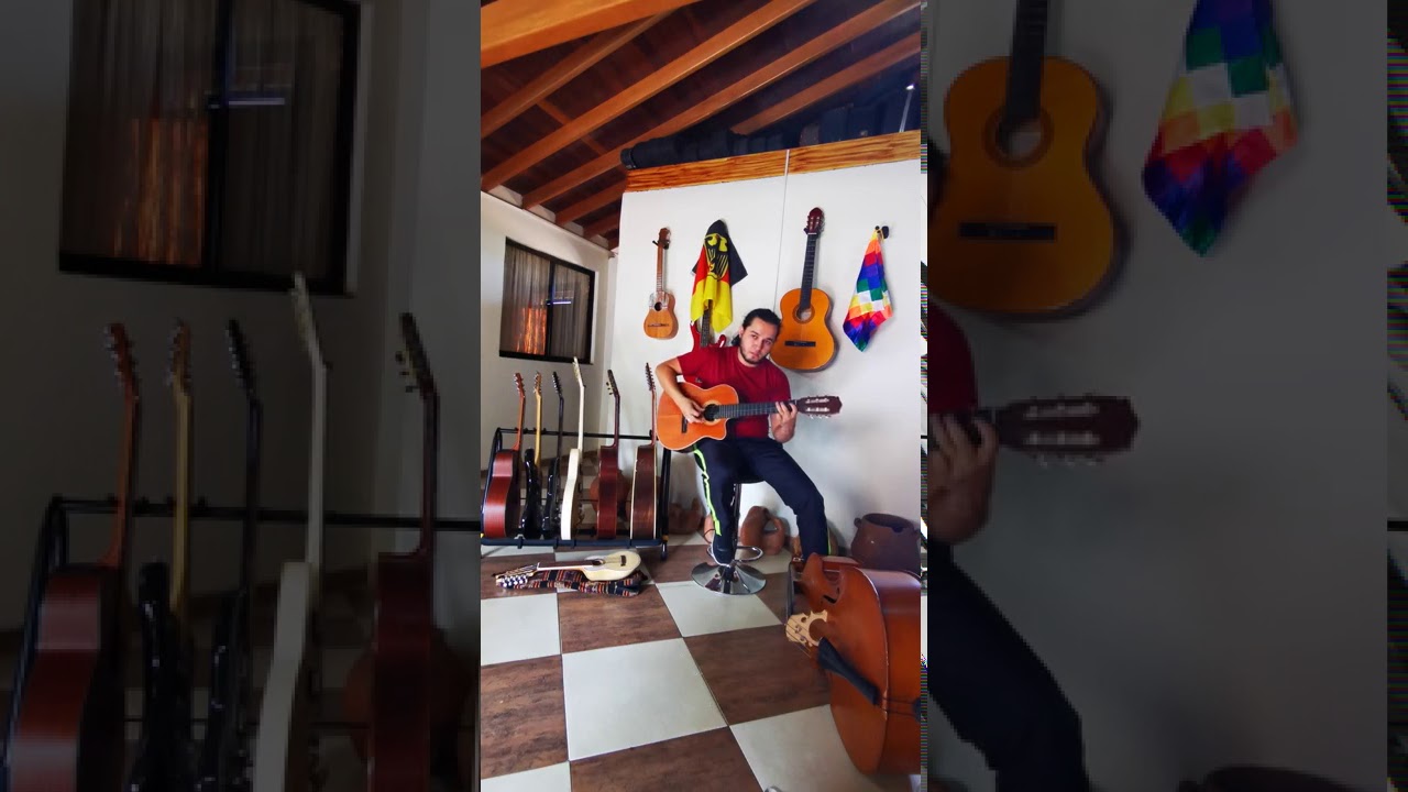 Instrumentos de cuerda pulsada