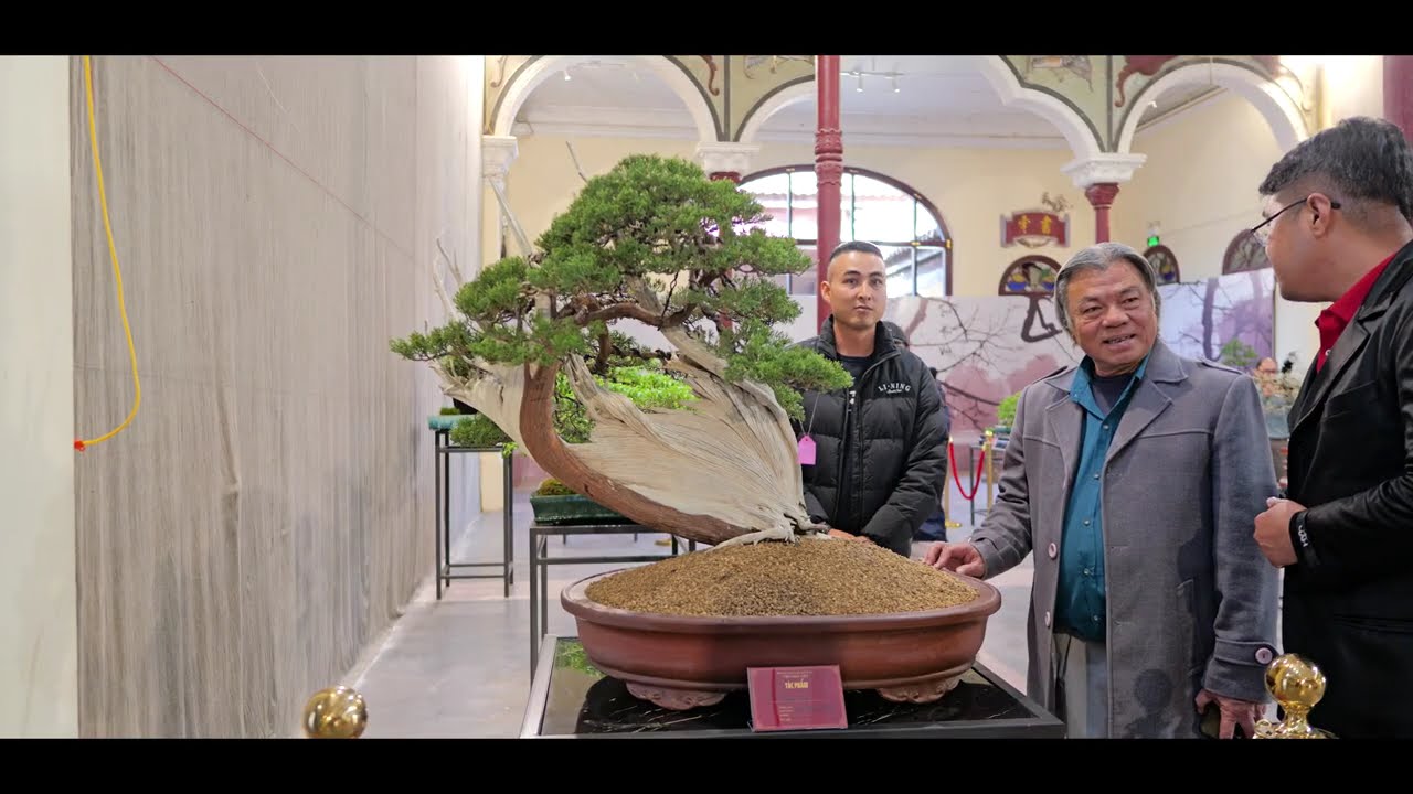 BONSAI PHỐ CỔ HÀ NỘI