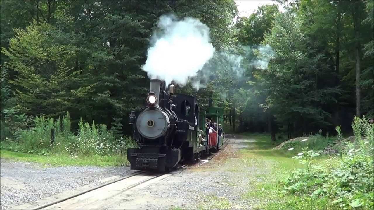 Two Steamers on a Two-Footer - Bucksgahuda & Western Railroader's Day 2013