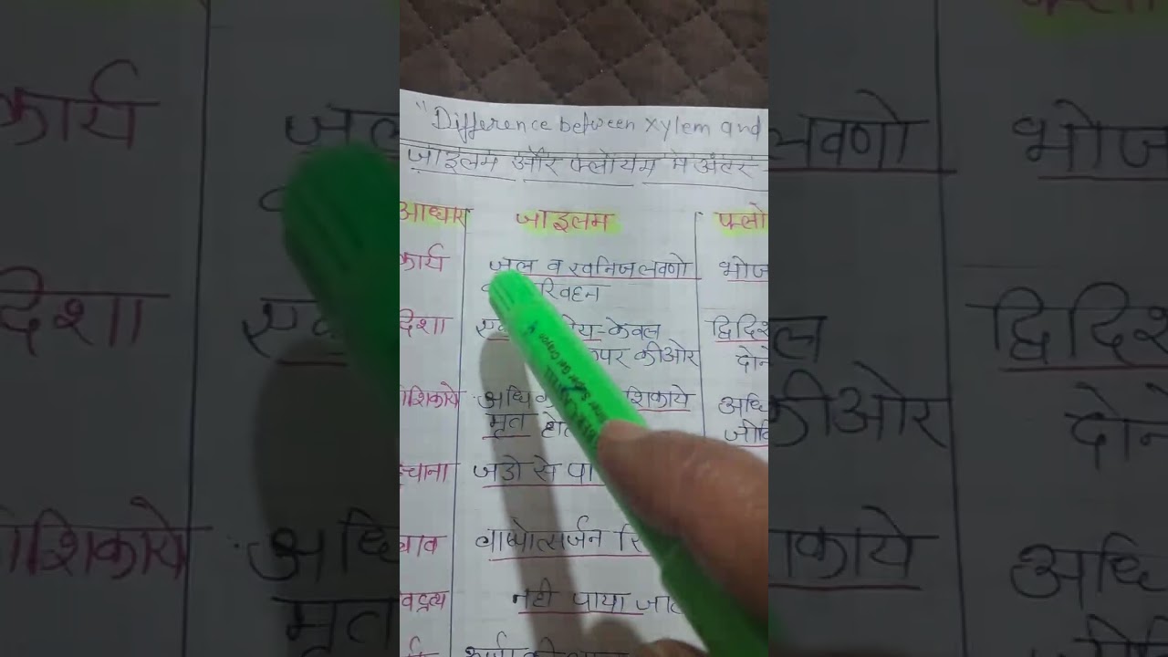 Difference between xylem and phloem #CBSE #ncert #upboard #haryanaboard #biharboard #10nthscience