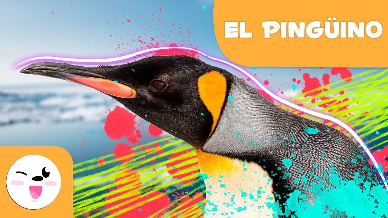 EL PINGÜINO 🐧 Animales para niños ❄️ Episodio 2