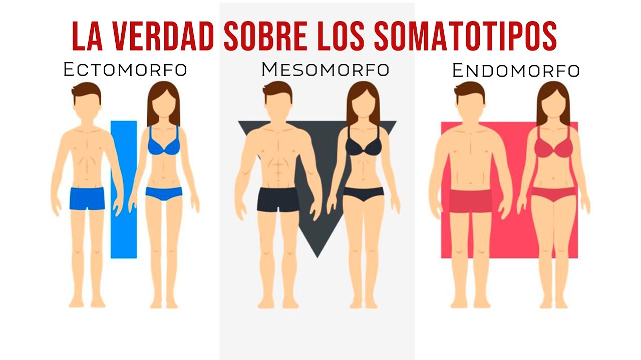 ¿Que Tipo De Cuerpo Tengo?(SOMATOTIPO) --- ECTOMORFO; MESOMORFO; ENDOMORFO (+TEST)