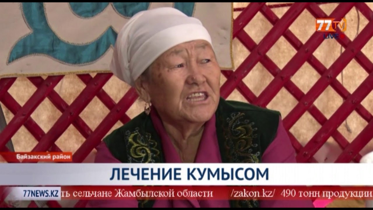 ЛЕЧЕНИЕ КУМЫСОМ