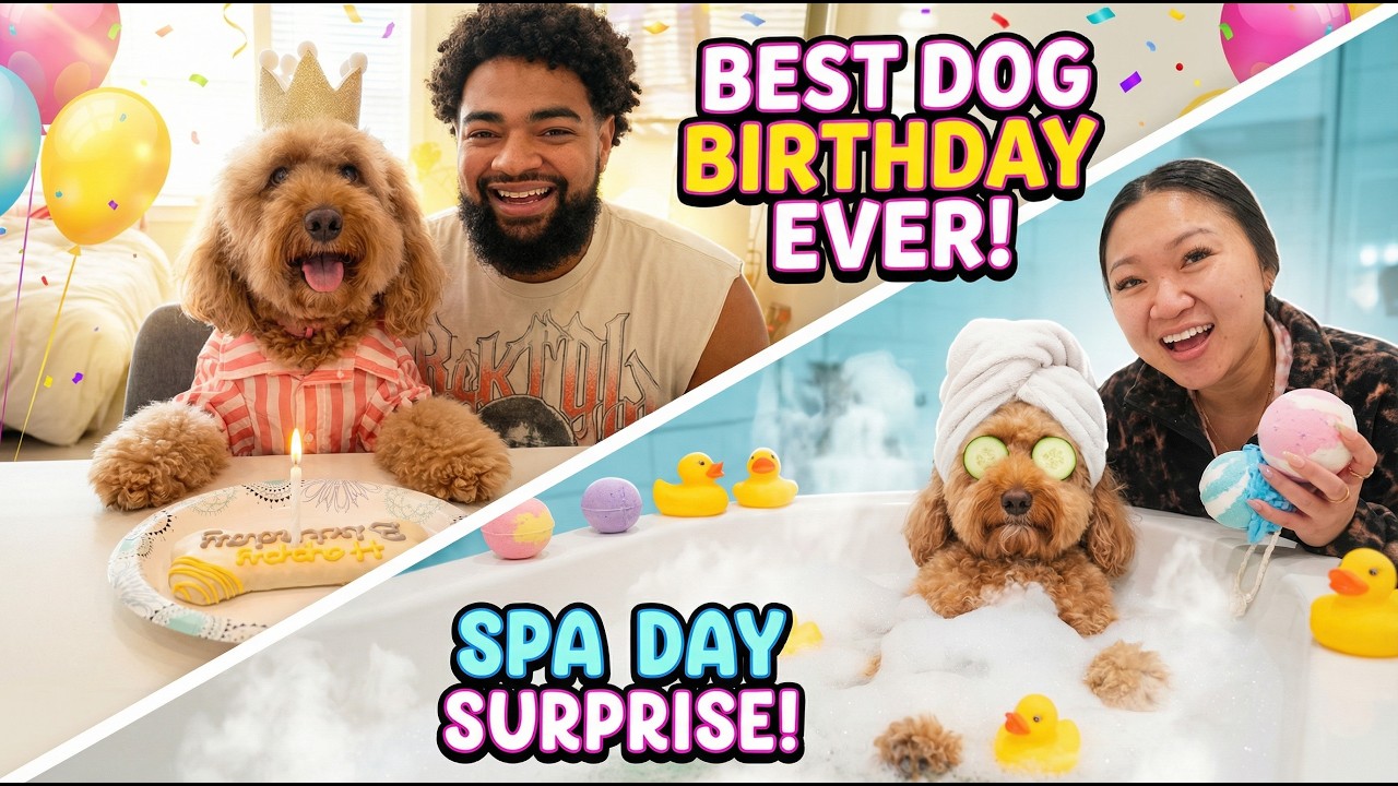 We Spoiled Our Dog On Her Special Day!