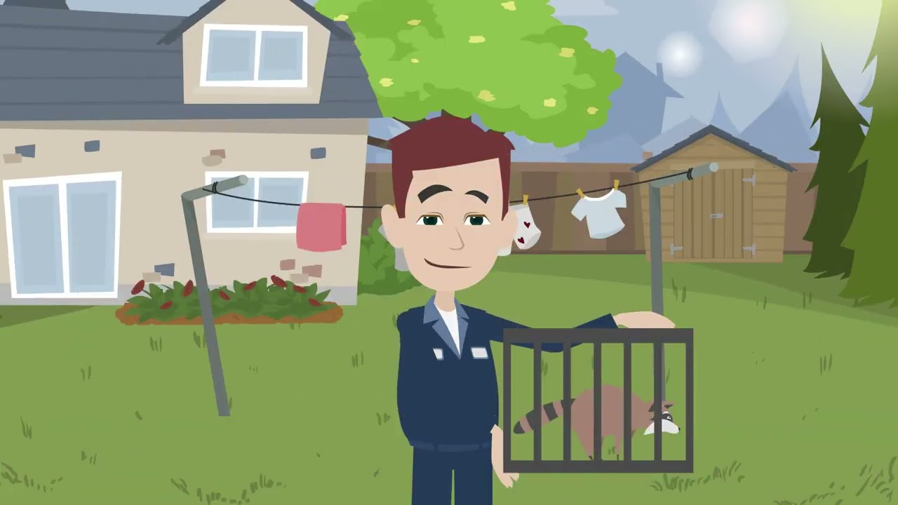 Greater Wildlife Control | Affordable Raccoon Removal Toronto & Affordable Squirrel Removal Toronto