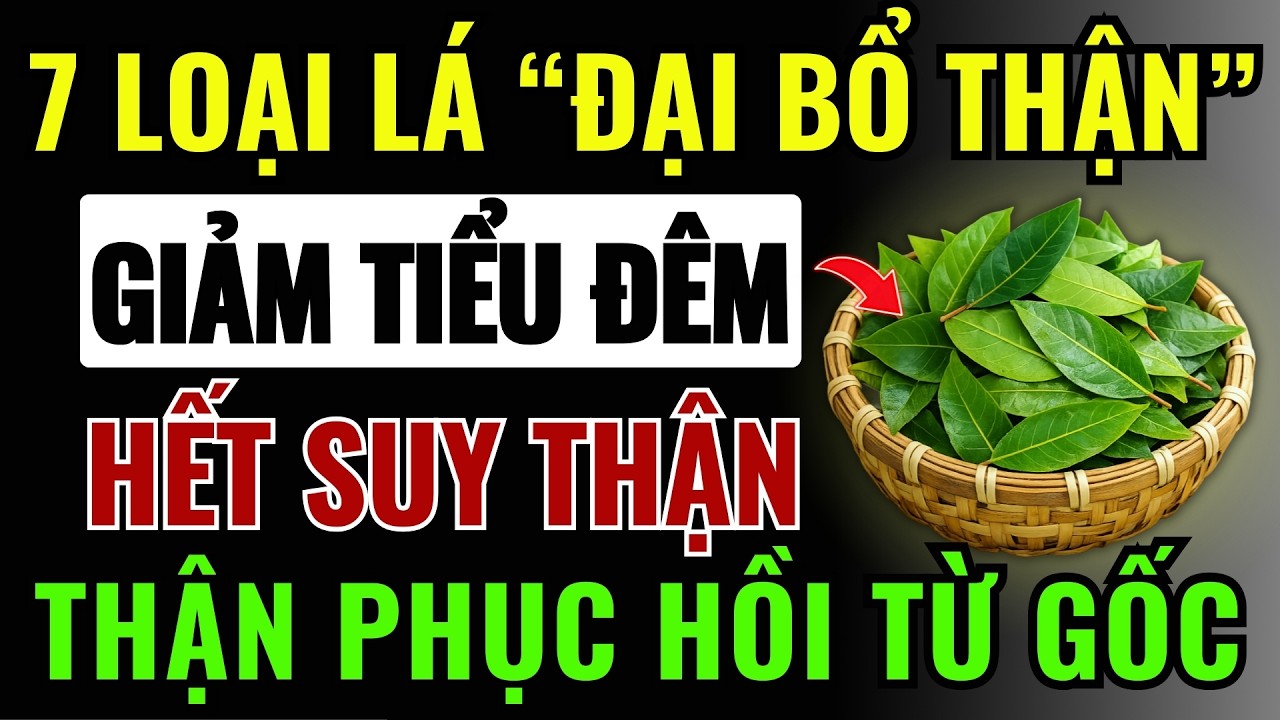 7 Loại LÁ “Đại Bổ Thận” – Giảm TIỂU ĐÊM, Ngăn SUY THẬN, THẬN PHỤC HỒI Sau 1 Ngày!