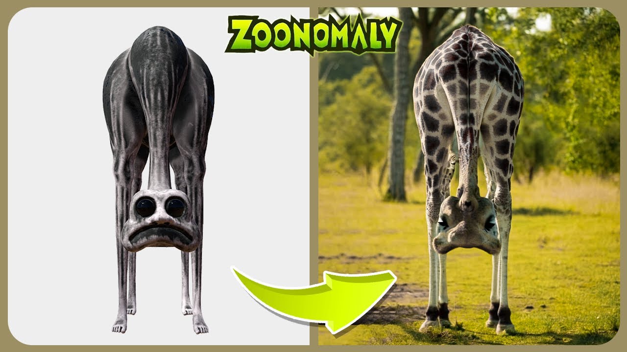 Зоономалия — игра против реальности | Сравнение всех персонажей