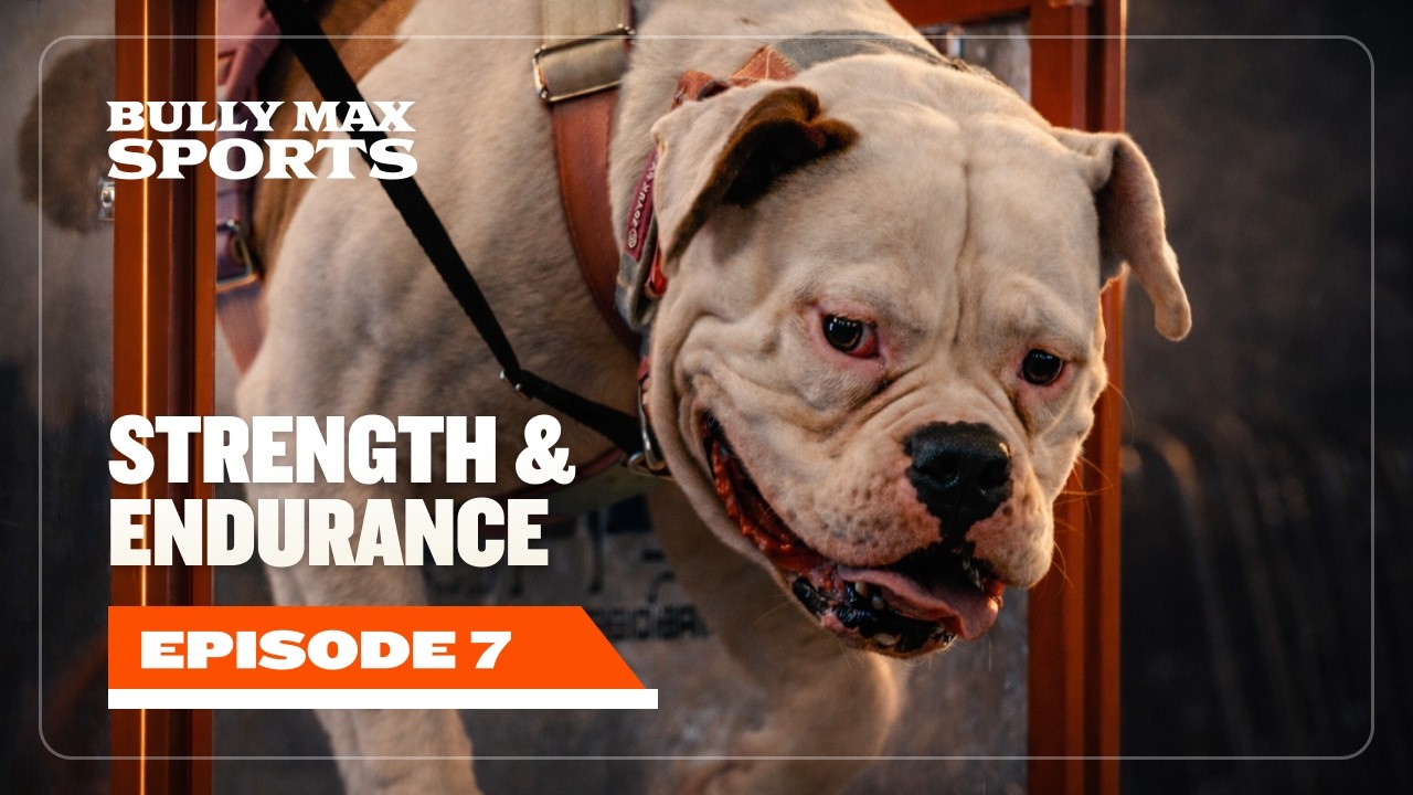 Bully Max Sports | Ep. 7 | UPF Nationals