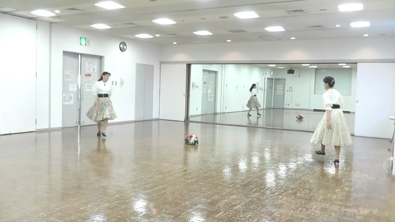 Hora Din Moldova ホラ ディン モルドヴァ  -Romania(Moldova)  (Circle Dance)