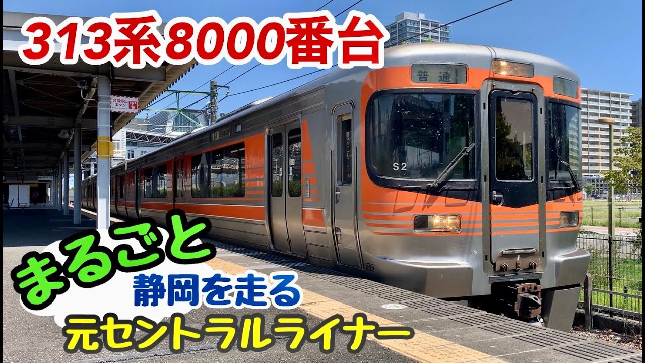 【313系8000番台】S重連も登場！静岡を走る元セントラルライナー特集