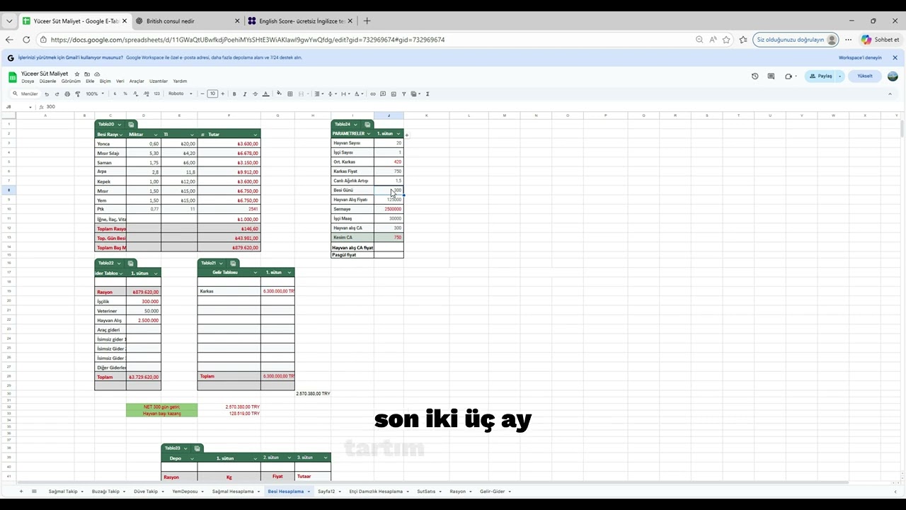 20 Besi Danası | 300 Gün Besi | Gerçek Gelir–Gider Tablosu (Net Kâr Açıklaması)