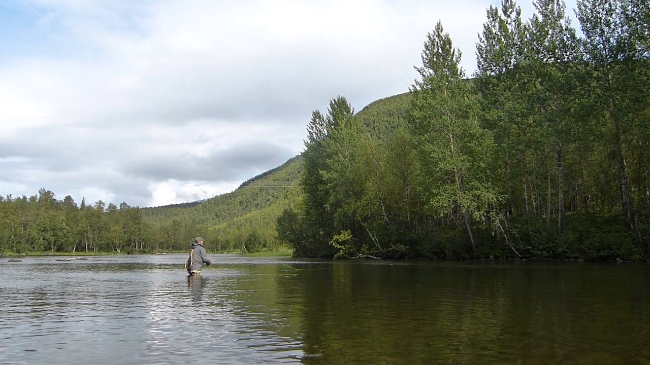 Fluefiske i nord 2014