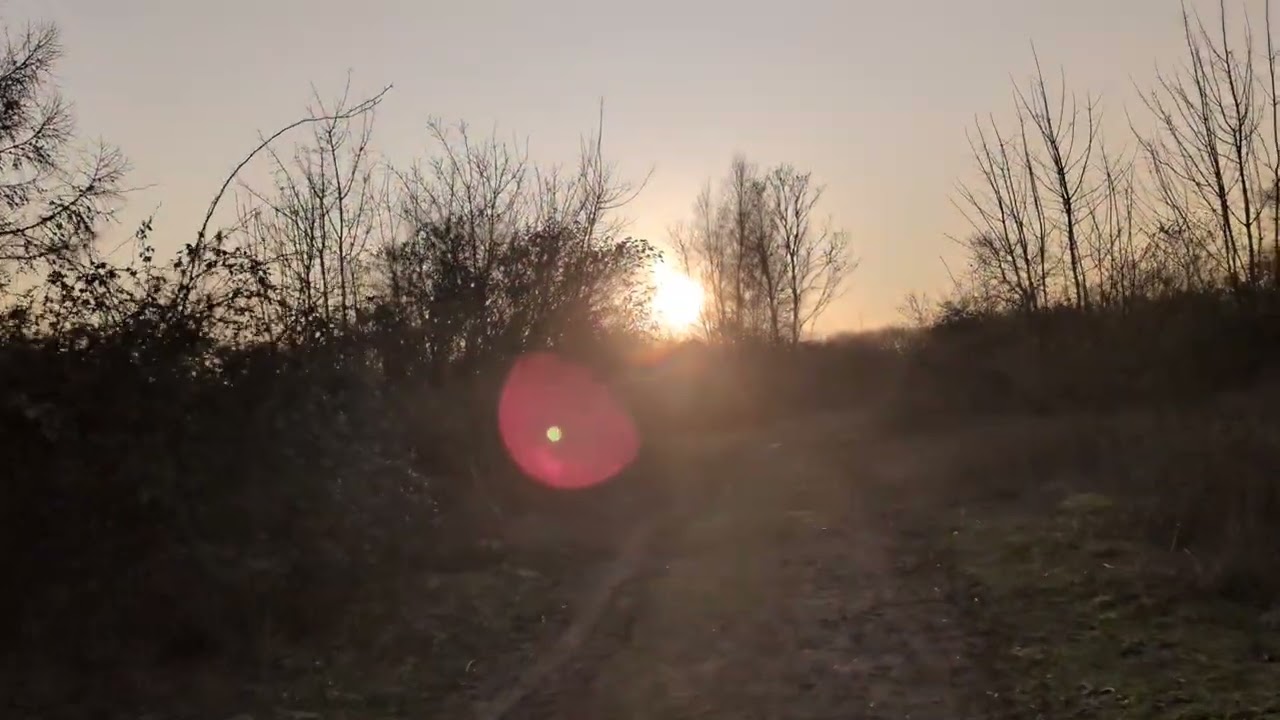 Bushfeild Is At Risk!!!!