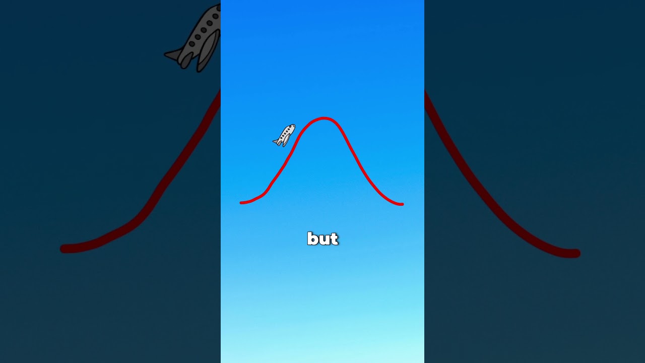 How do planes go zero gravity!?