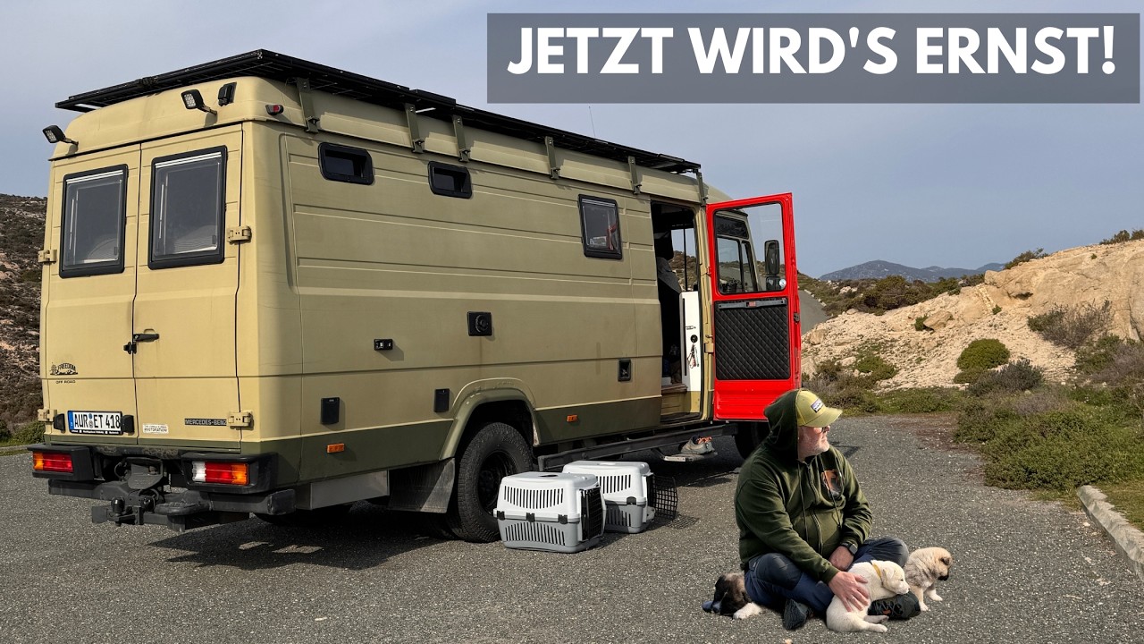 Der nächste große Schritt für unsere Vanlife-Welpen 🐶💉