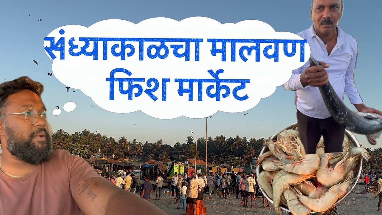 संध्याकाळचा मालवण फिश लिलाव || Malvan Fish Market|| मासळी बाजार  || latest update 2026 #fishmarket