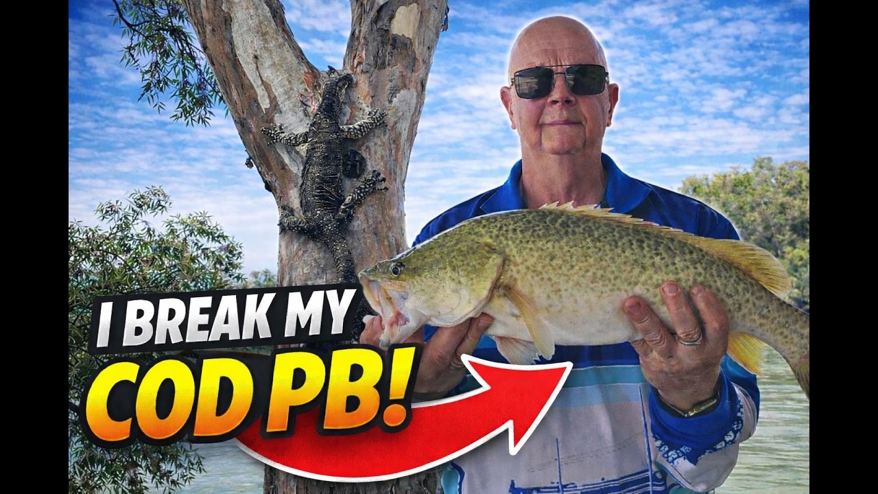 My best cod fishing!
