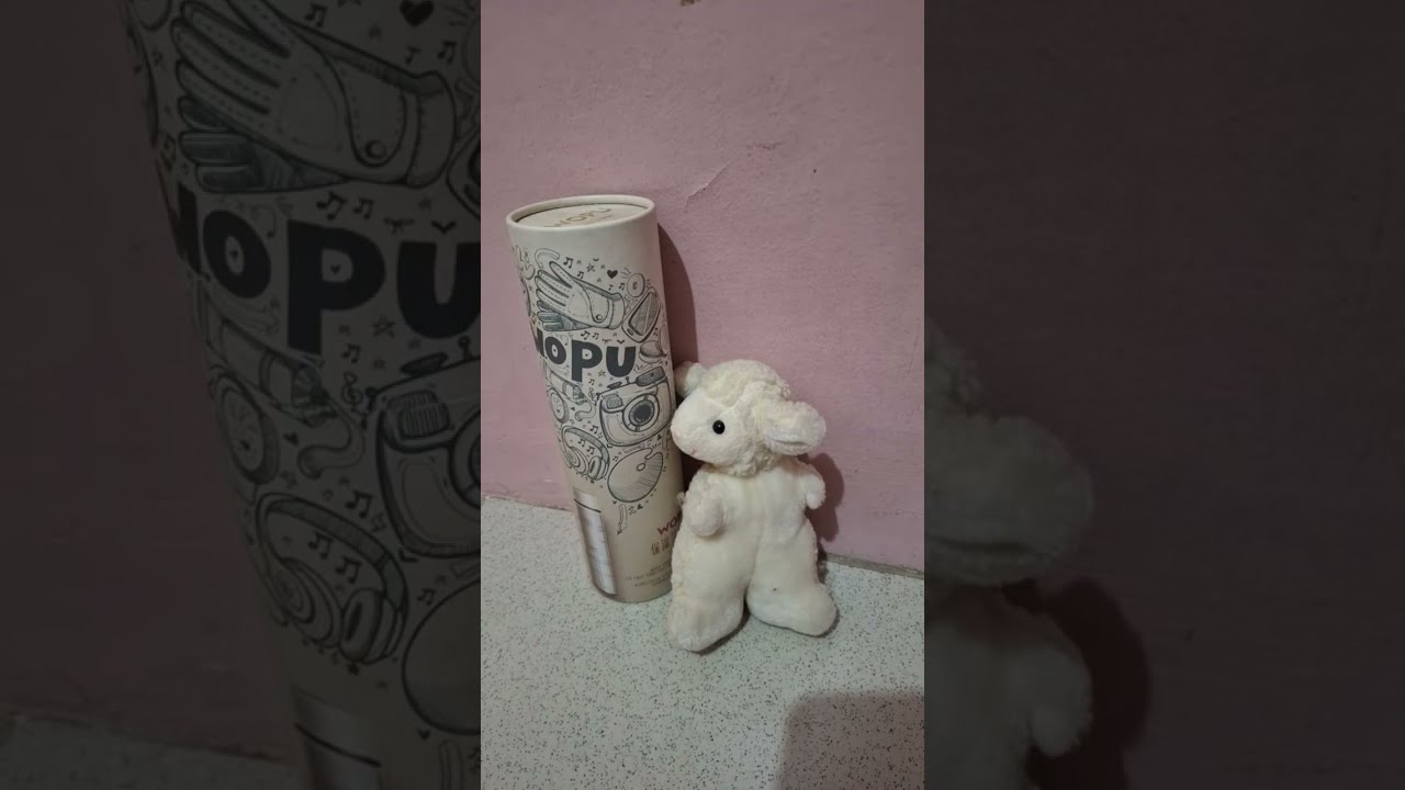 📍Live  @Apollo&Nala Cute Teddy Bear
