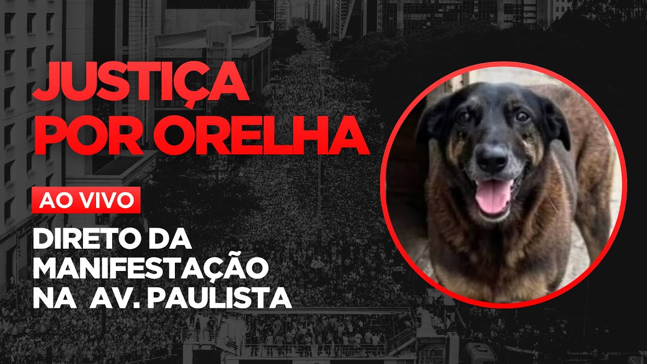 AO VIVO | TRANSMISSÃO DA MANIFESTAÇÃO POR JUSTIÇA PELO CÃO ORELHA | DIRETO DA AVENIDA PAULISTA