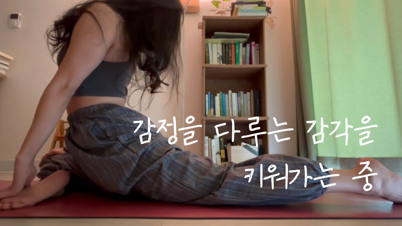 [vlog]감정을 다루는 감각을 키워가는 중ㅣ📓두통일기04