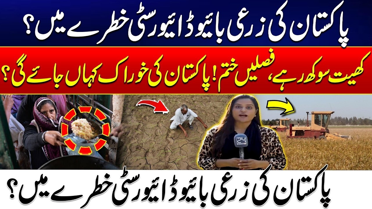 Food Crisis In Pakistan? - How Extreme Heat and Drought are Killing Our Crops