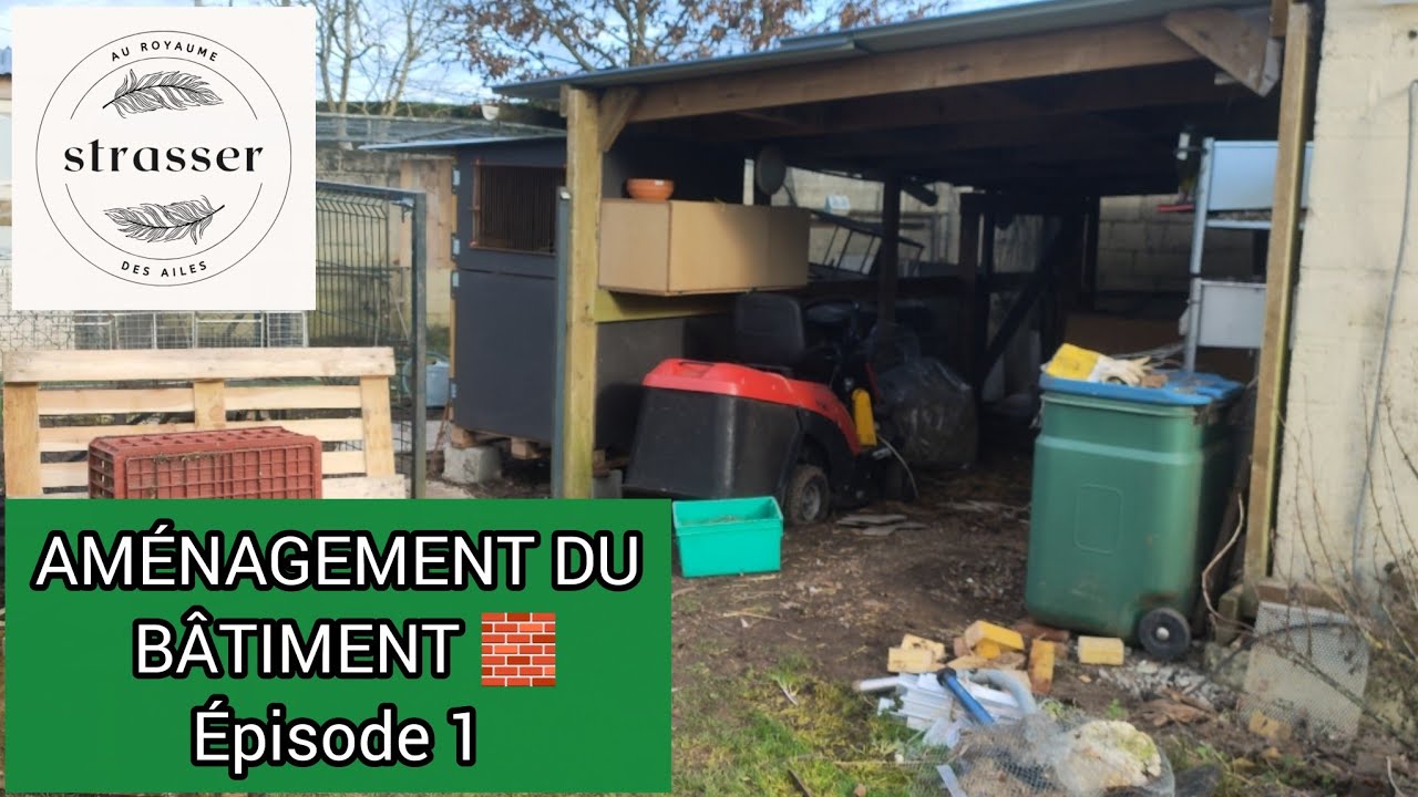 Épisode 1 Gros chantier à venir : transformation de mes bâtiments pour l’élevage 🏗️ | Épisode 1
