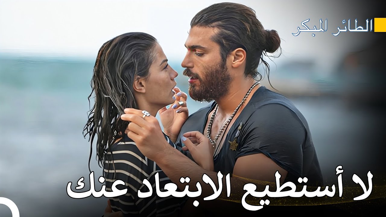 قصة طائر الفينيق الذي يبحث عن ألباتروس #4 - سلسل الطائر المبكر