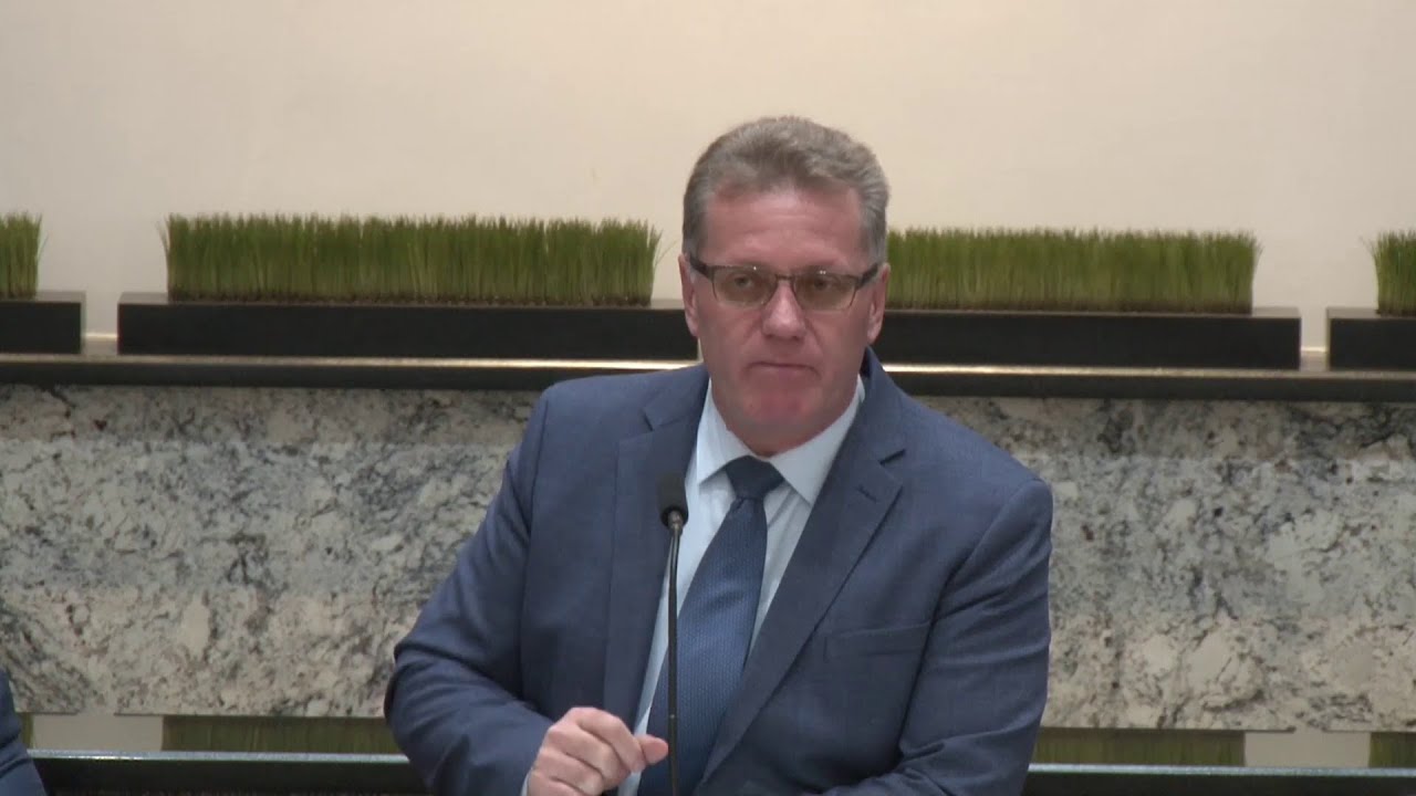 Nelu Filip - Privește-ți urma pașilor în vale