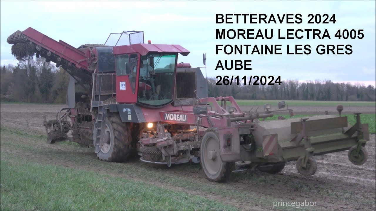 BETTERAVES 2024 / MOREAU LECTRA 4005 / FONTAINE LES GRES / AUBE / FRANCE /